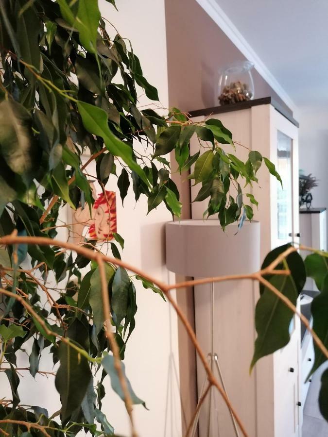 Apartman Luna Sibenik Ngoại thất bức ảnh