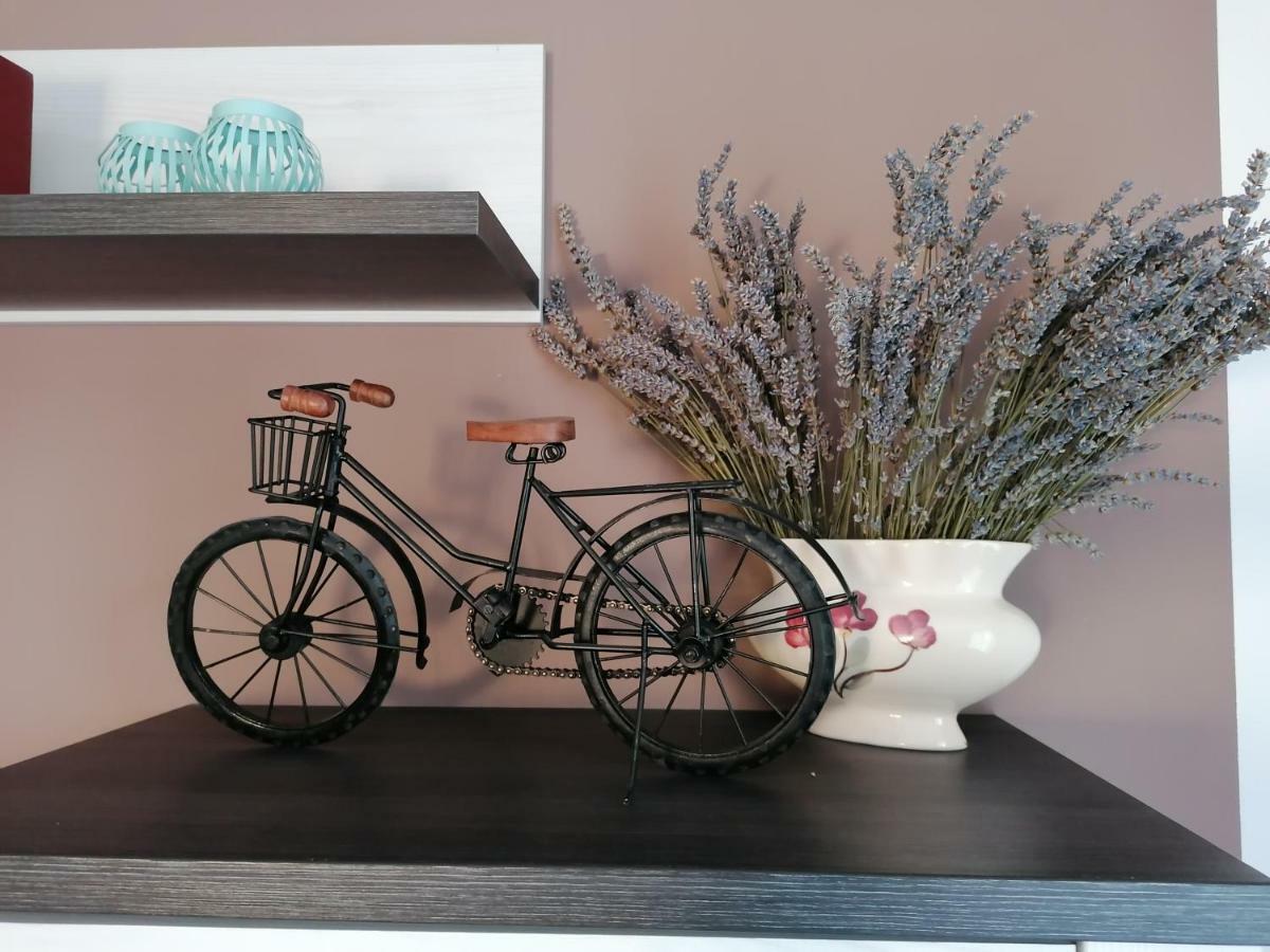 Apartman Luna Sibenik Ngoại thất bức ảnh